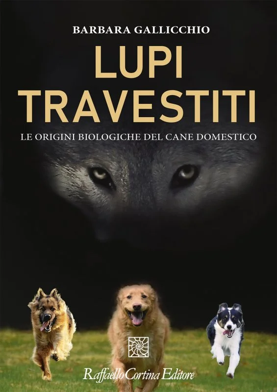libreriacortinamilano-1202606221403361720484