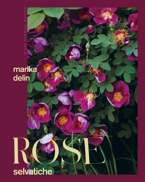 libreriacortinamilano-1202606221436481726051