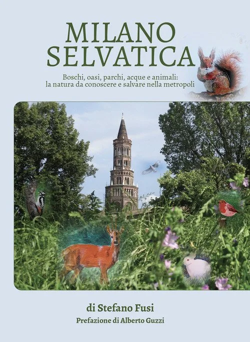 libreriacortinamilano-1202606221921061785278