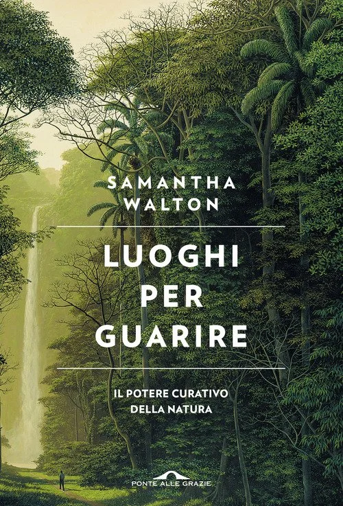libreriacortinamilano-1202606230434481905843