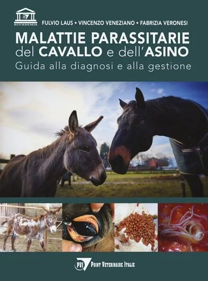 libreriacortinamilano-1202606230533541919058