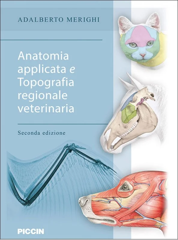 libreriacortinamilano-1202606231046261981627