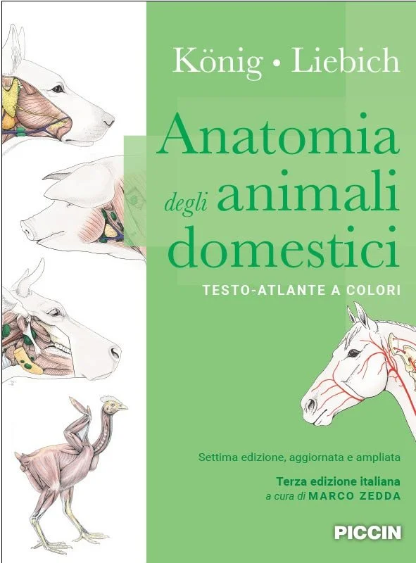 libreriacortinamilano-1202606231238292009522