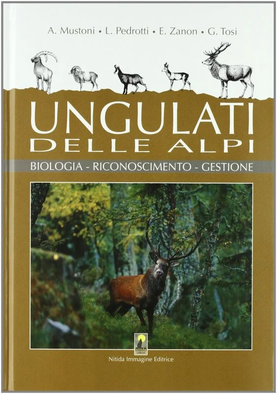 libreriacortinamilano-1202606231238432009580