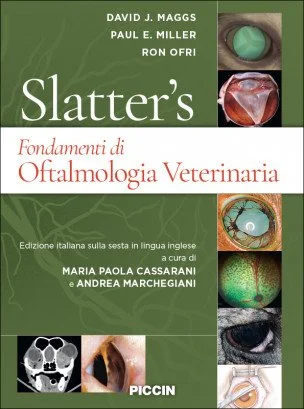 libreriacortinamilano-1202606231503592042281