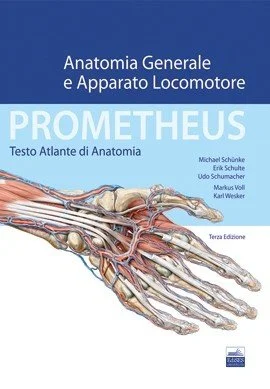 libreriacortinamilano-1202606231837062081760