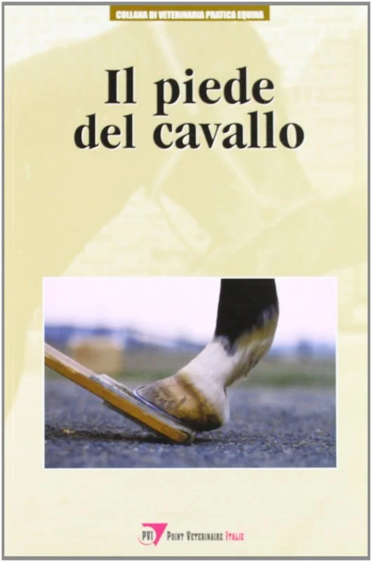 libreriacortinamilano-1202606232149342126263