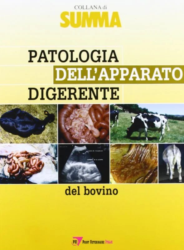 libreriacortinamilano-1202606232149532126341