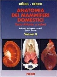 libreriacortinamilano-3202606240919122271436