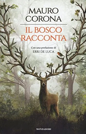 libreriadantealighieri-1202606222344131842659