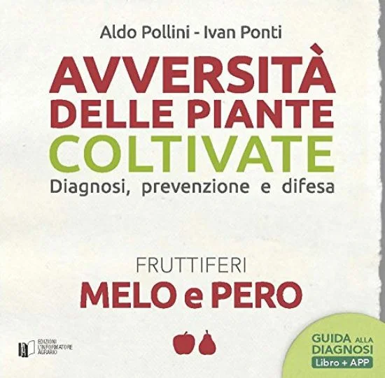 libreriadantealighieri-1202606230205431873967
