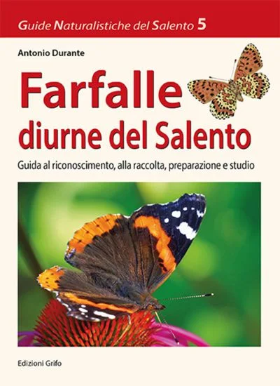 libreriadantealighieri-1202606230535381919400