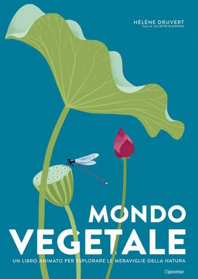 libreriadantealighieri-2202606231800512073241