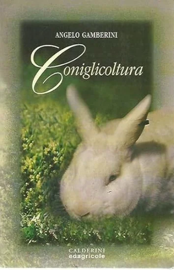 libreriadantealighieri-2202606240712422249845