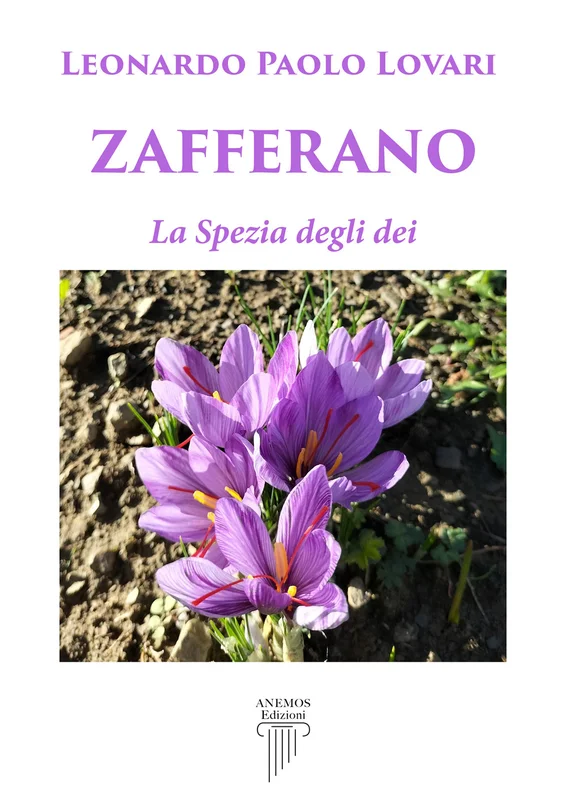 libreriaesotericamilano202606230348571895923